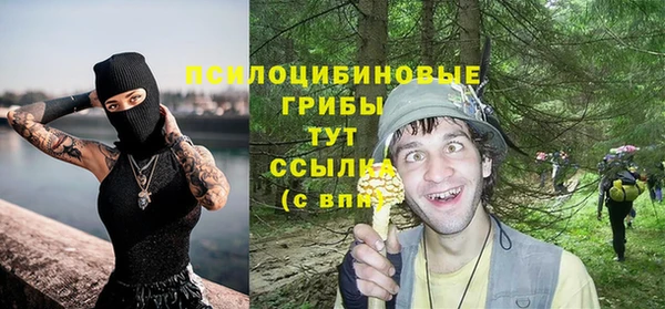 прущие крисы Армянск