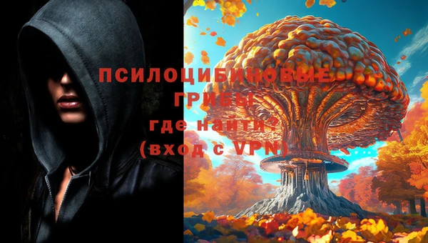 соль ск Арсеньев